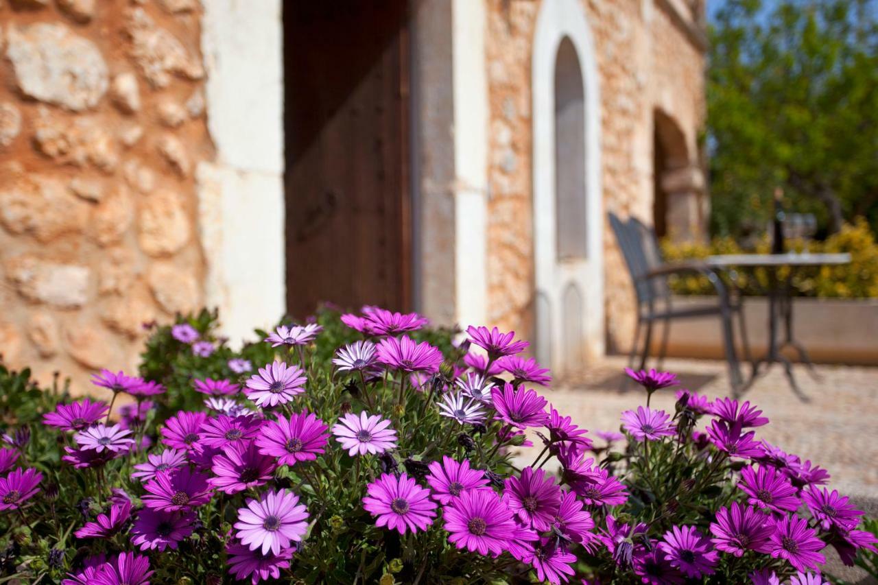 Agroturismo Es Quatre Cantons Villa Binissalem Exterior photo